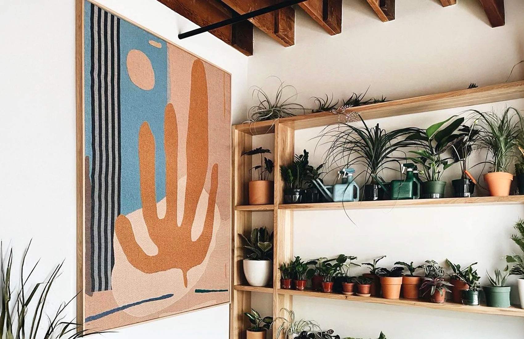 Room interior with a wooden shelf displaying various potted plants, a wall tapestry with abstract design, and exposed wooden beams.