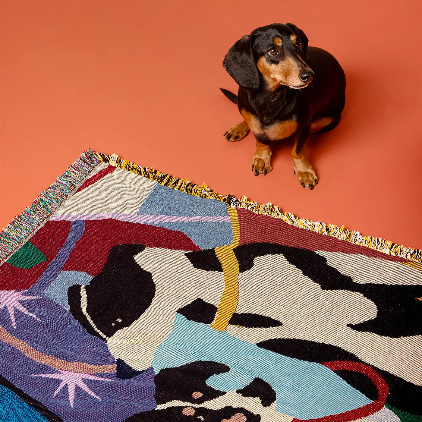 Dog sitting on a colorful abstract woven blanket