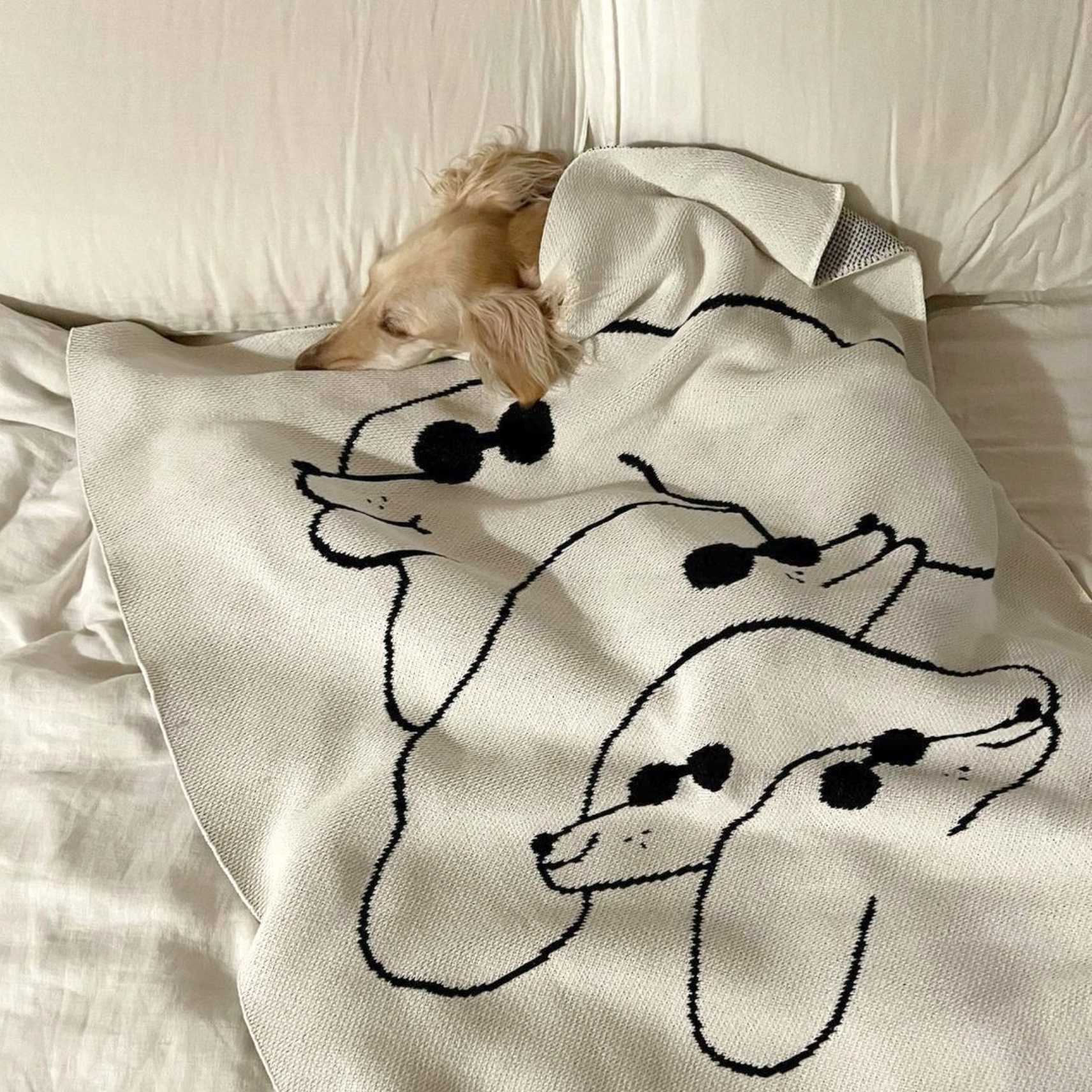 Dawgs Mini Blanket - Slowdown Studio