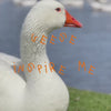 Argentinian artist Magdalena Etchebarne showing the inspiration behind her Gansos Art print. She is inspired by Geese in a pond and the video is titled "Geese inspire me"